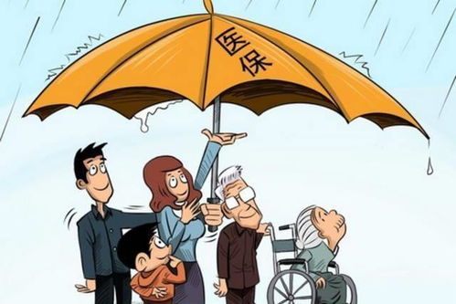 社保繳滿十五年中斷，退休前還需補繳嗎？權威解答來了